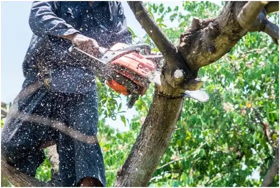 tree services Chambersburg